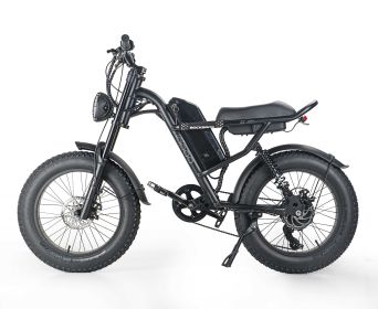 EMB009 New Design 500W Mountain Electric Bicycle Out Door With Fat Tiire Ebike